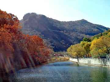 管家婆黑白马报图库，建材 安乐窝